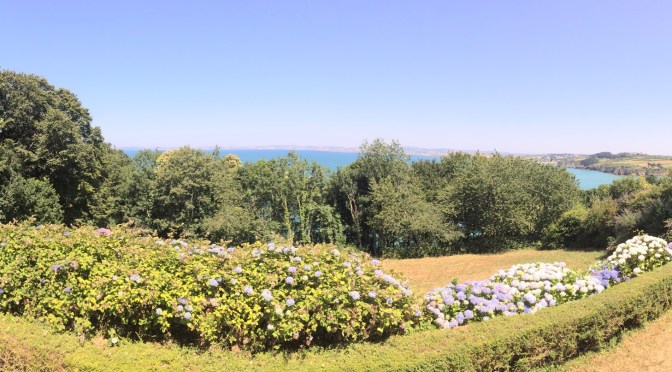  July 2015 at the Plomarc’h Bleuniou